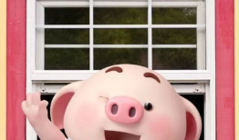 猪小屁短视频,趣味横生的日常生活记录